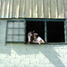 Cathy Lay Photo 22