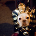 Michelle Kult Photo 6