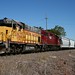 Shelly Neff Photo 8
