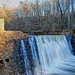 William Vickery Photo 32