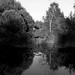 Kent Webster Photo 16