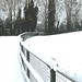 Lynda Gardner Photo 22