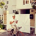 Hoang Lam Photo 28