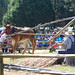 Mark Guenther Photo 19