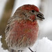 Bruce Finch Photo 10