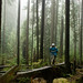 Brad Bridges Photo 21