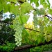 Jan Petty Photo 7