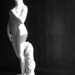 Nicholas Power Photo 27