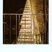 Andre Long Photo 30