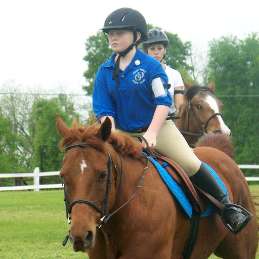 Julie Carroll Photo 28