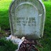 Sarah Mott Photo 6