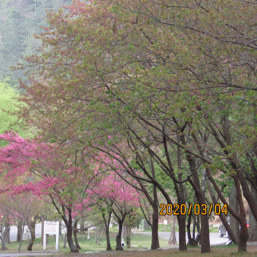 Tzu Yu Photo 9