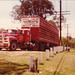 Mack Walker Photo 15