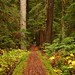 Jill Baker Photo 12