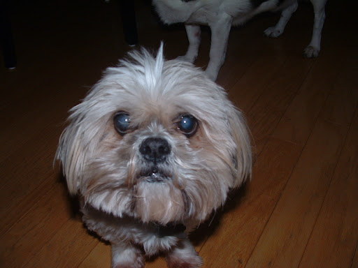 Robin Burnette Photo 6