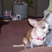 Ann Mckee Photo 26