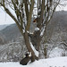 Don Root Photo 6