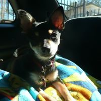 Rose Swanson Photo 11