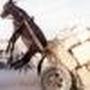 Joseph Lerner Photo 12
