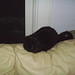 Eddie Couch Photo 17