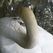 Francis Rogers Photo 31