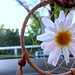 Rhonda Button Photo 4