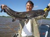 Douglas Reis Photo 22