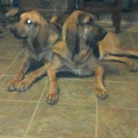 Michelle Hocker Photo 12