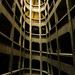Ricardo Ferraz Photo 8