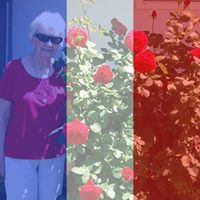 Joann Conner Photo 9