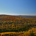 Mark Brockway Photo 27