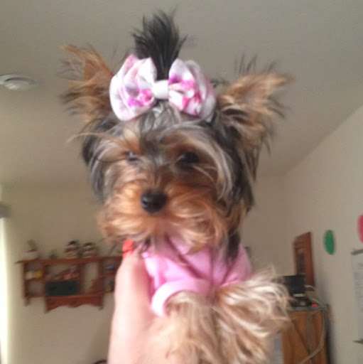 Mary Mckay Photo 12
