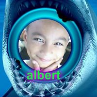 Albert Lang Photo 5