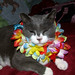 Patsy Lester Photo 11