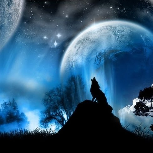 Patrick Harder Photo 25