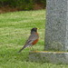 Robin Hubbard Photo 13