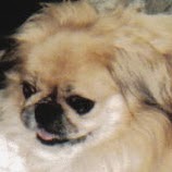 Betsy Brewer Photo 3