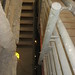 Rex Mccarthy Photo 12