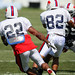 Fred Jackson Photo 7