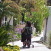 David Rode Photo 8