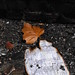 Mark Ardis Photo 5
