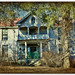Nancy Mason Photo 15