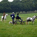 Alison Burgess Photo 16