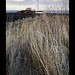 Mary Sands Photo 14