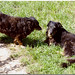 Kelly Hamers Photo 10
