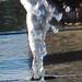 Mark Chartier Photo 25