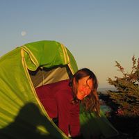 Linda Hardison Photo 11