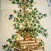 Christina Crowley Photo 20