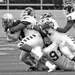 Vince Murray Photo 37