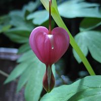 Anna Everhart Photo 7
